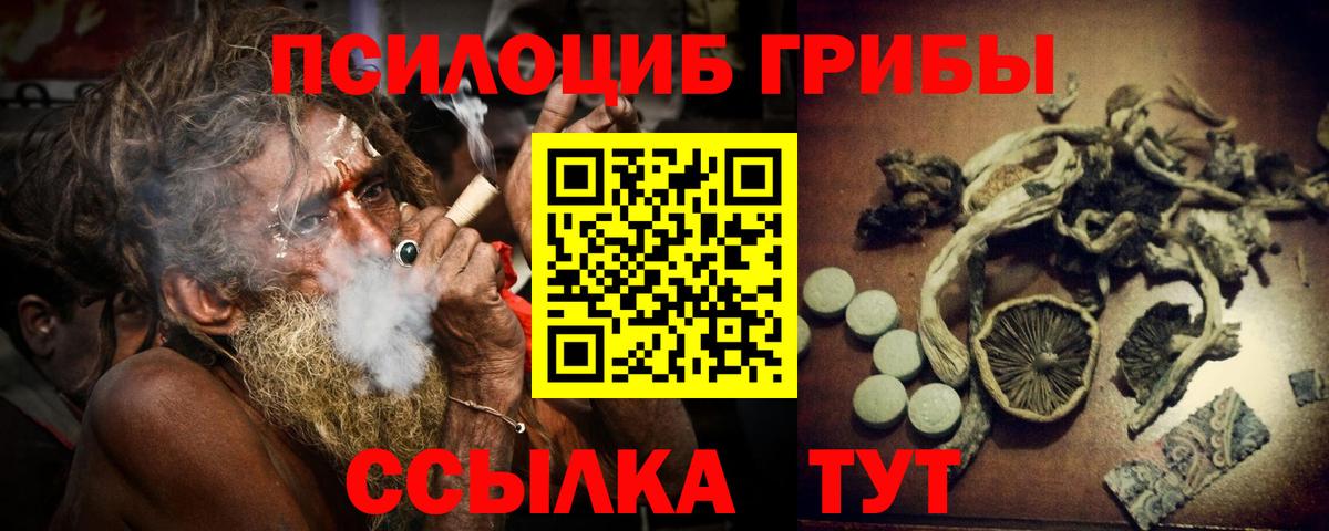 Псилоцибиновые грибы ЛСД  Галлюциногенные грибы мицелий  Котовск  Вход с VPN 