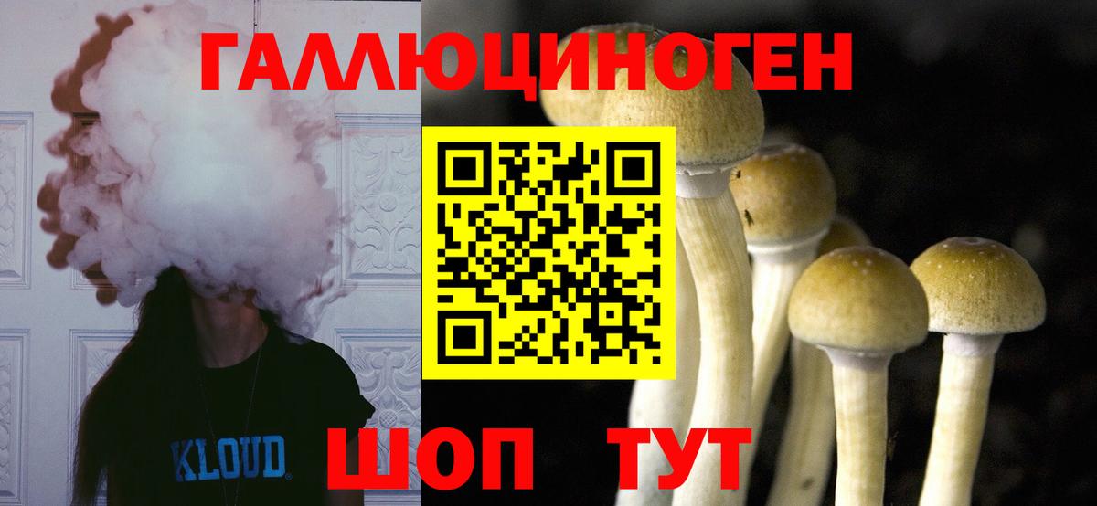 Псилоцибиновые грибы мухоморы Котовск
